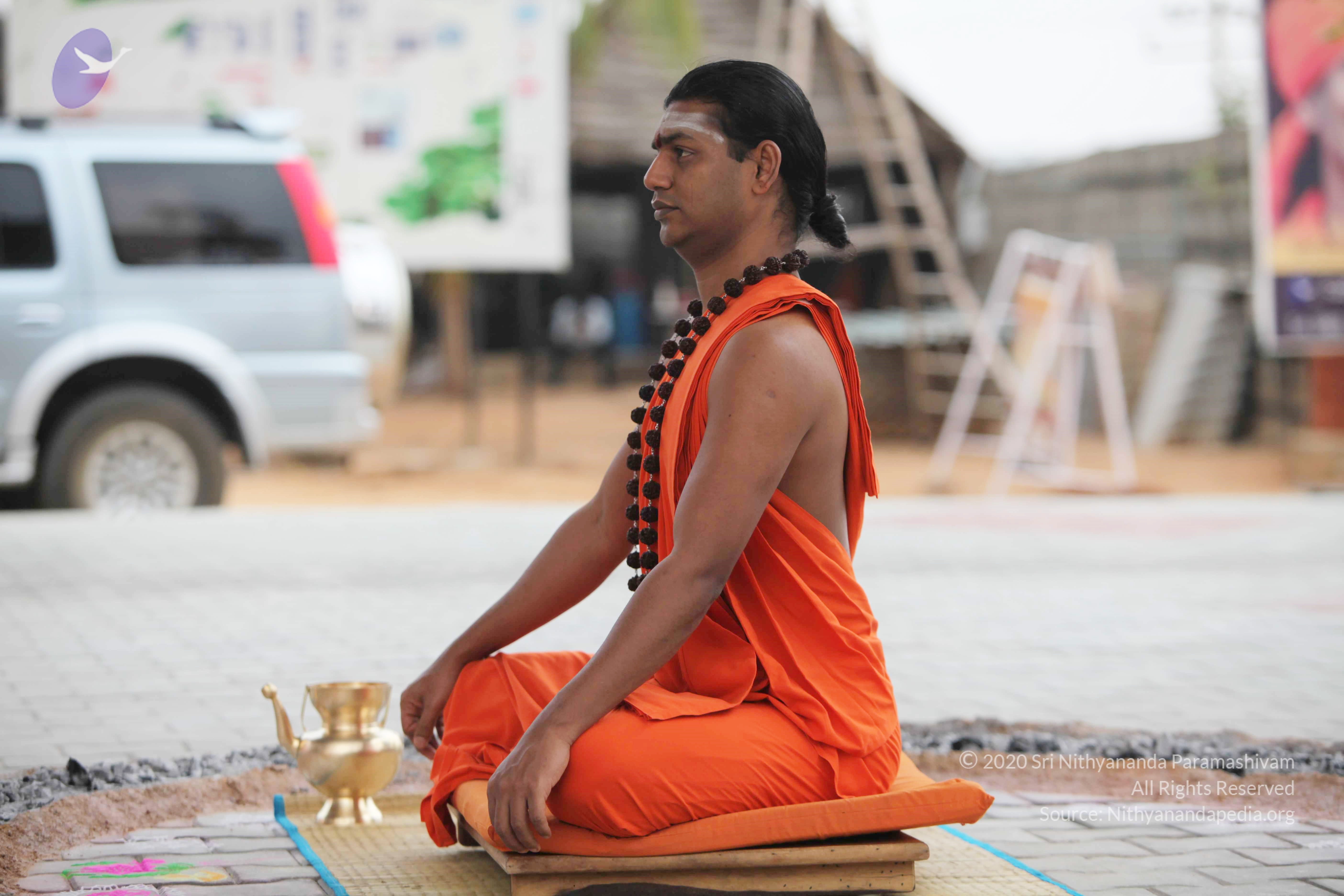 20110225_Photo_1089_IMG_0836_CMP_WM